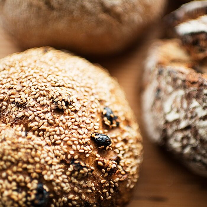 Close-up van Kaapse Knar